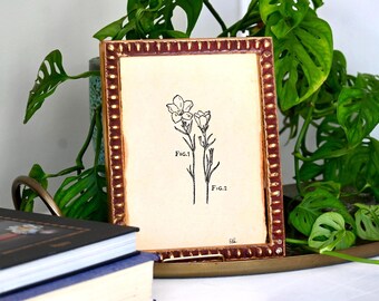 Desenho original de flor silvestre em papel artesanal - Flor de genciana vintage