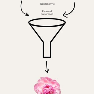 May include: Diagram illustrating the process of selecting the ideal plant. It features a funnel with labels like 'Plant Dimensions', 'Site conditions', and 'Plant aesthetics', leading to a pink peony flower. Text at the bottom reads 'The ideal plant'.