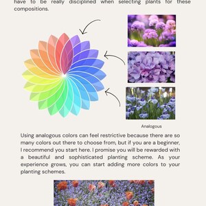 May include: A page from a gardening guide with the title "Analogous colors." It features a color wheel, examples of flowers in analogous color schemes, and a field of orange tulips.