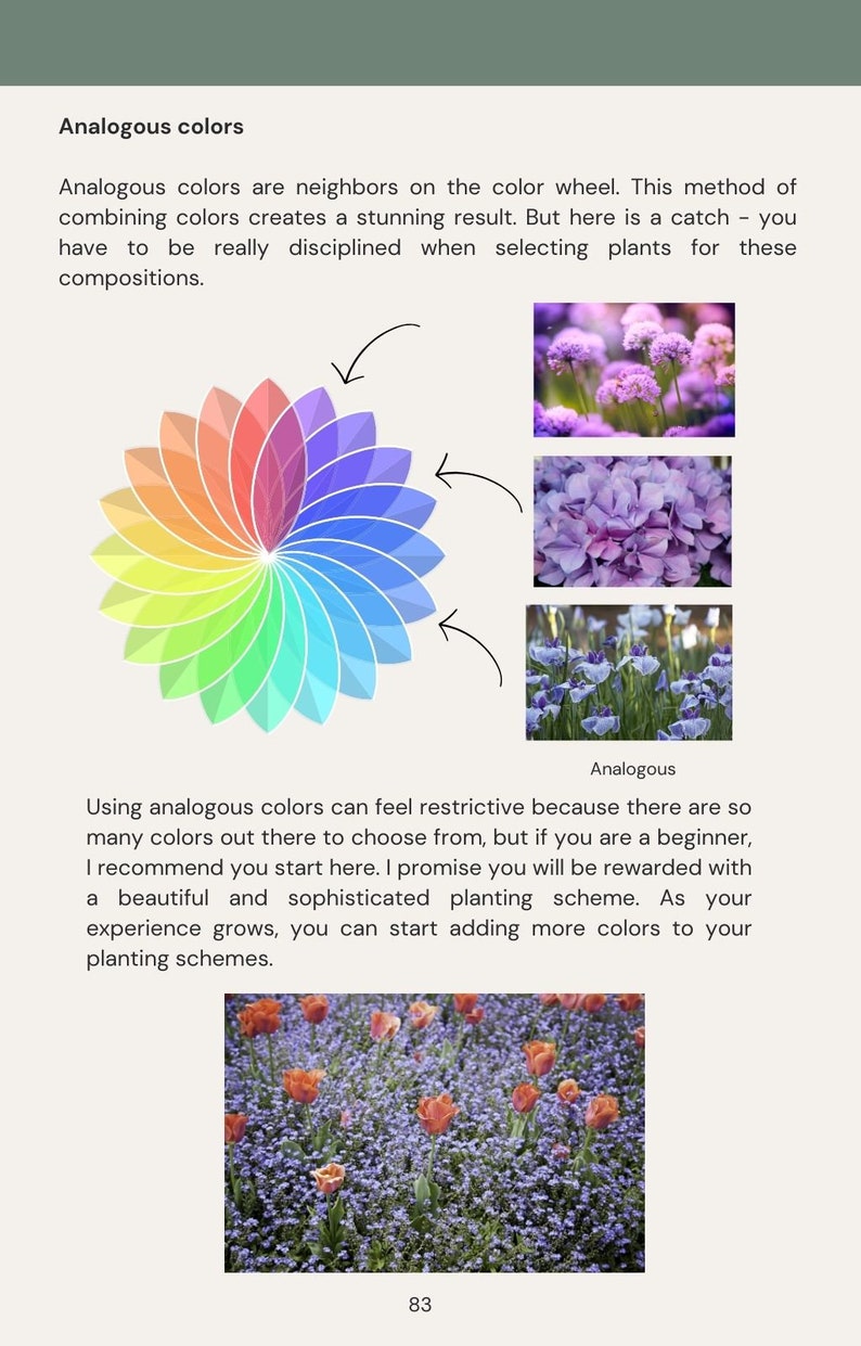 May include: A page from a gardening guide with the title "Analogous colors." It features a color wheel, examples of flowers in analogous color schemes, and a field of orange tulips.
