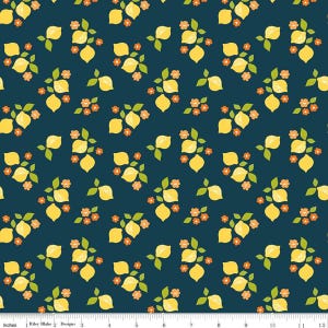Here Comes the Sun by Sandy Gervais for Riley Blake Designs | C14811-MIDNIGHT | Quilting Cotton Fabric | Fruit Fabric | Spring or Summer