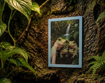 May include: A rectangular light blue frame containing a photograph of four frogs huddled together in front of a waterfall. The frame is mounted on a dark, textured, rocky surface surrounded by green leafy plants and a fern in a terrarium setting.