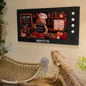 Decoração de TV para Répteis Grandes | Acessório para Terrário de Dragão Barbudo de 24 cm (Cores Personalizadas)