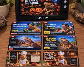 May include: A black rectangular television-shaped display labeled REPTI TV, featuring a screen showing a bearded dragon in a witch hat with pumpkins. Below are eight rectangular cards displaying various bearded dragon scenes and text.