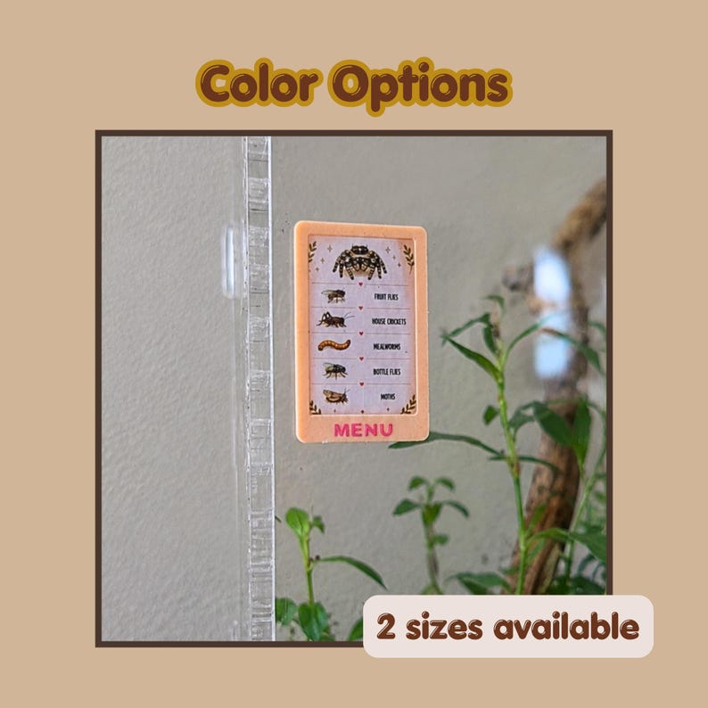 May include: A rectangular peach-colored sign with the text MENU at the bottom and illustrations of a spider and various insects labeled fruit flies, house crickets, mealworms, bottle flies, and moths, attached to a clear acrylic surface.