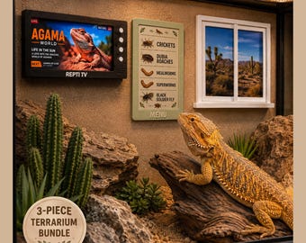May include: A 3-piece terrarium bundle featuring a bearded dragon on a log, a black television-shaped screen displaying "AGAMA WORLD REPTI TV", and a light green menu sign listing crickets, dubia roaches, mealworms, superworms, and black soldier fly.
