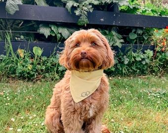 Bandana d'inspiration western pour chien de campagne
