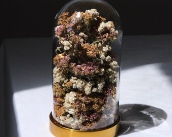 Terrarium de fleurs séchées, présentoir de fleurs naturelles préservées, fleurs d'inspiration vintage, cloche de fleurs éternelles