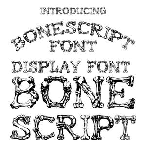 May include: Introducing Bonescript Font, a display font made of bones. The word "BONE" is written in the font, with each letter made of a different bone structure.