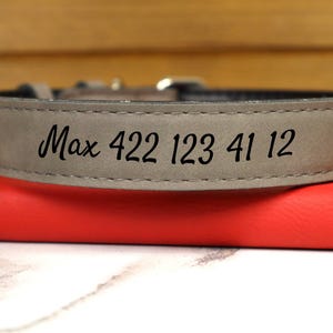 Dog Collar Personalized, Custom Leather Dog Collar, Leather Dog Collar, Dog Collar Leather, Personalized Dog Collar with Leather Leash