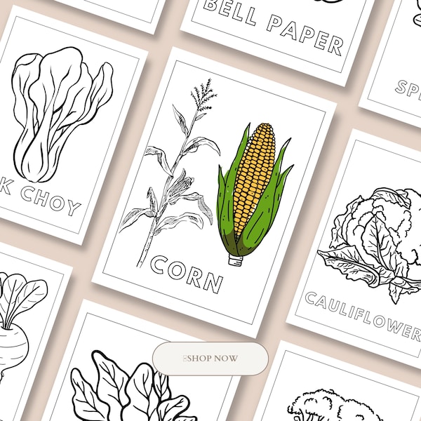 30 Vegetables coloring pages, Vegetable coloring book, Vegetable illustration drawing clip art,vegetable garden, plant lover, plant material