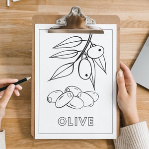 Może przedstawiać: Czarno-biała ilustracja gałęzi oliwnej z oliwkami. Pod gałęzią znajduje się rysunek pięciu oliwek i napis "OLIVE" czarnym tekstem.
