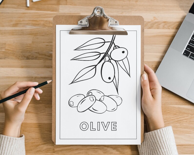 Może przedstawiać: Czarno-biała ilustracja gałęzi oliwnej z oliwkami. Pod gałęzią znajduje się rysunek pięciu oliwek i napis "OLIVE" czarnym tekstem.