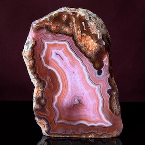 May include: A polished agate slice featuring concentric bands of pink, white, and deep reddish-brown colors. The stone displays a translucent center with intricate, wavy patterns and a rough, textured outer edge in shades of orange and brown.