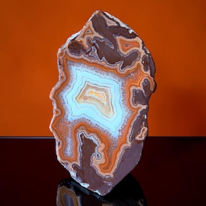 May include: A polished agate slice featuring concentric bands of brown, burnt orange, and white. The center displays a bright white crystalline cavity surrounded by layers of earthy tones, creating a natural, irregular, and organic stone pattern.