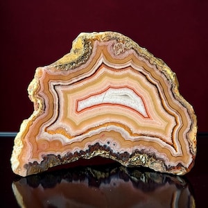May include: A polished agate stone slice, showcasing concentric bands of color. The natural stone features layers of white, orange, and brown hues, with a dark outer edge and a reflective surface.