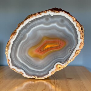 May include: A polished agate stone slice with concentric bands of gray, white, orange, and yellow. The outer edge has a rough, golden-brown texture. The stone is displayed on a wooden surface.