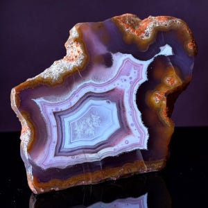 May include: A polished agate slice featuring concentric bands of deep purple, lavender, and translucent white. The center displays a crystalline structure surrounded by jagged, earthy orange and brown outer edges with a rough, natural texture.