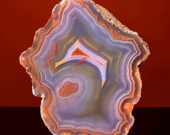 Condor Agate 4.5”  - The Seahorse, an Incredibly Delightful Agate from San Rafael Mendoza, Argentina