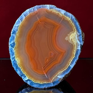 May include: A circular agate slice featuring concentric bands of vibrant orange and translucent amber, surrounded by a distinct outer ring of pale blue and white crystalline edges. The polished surface displays natural mineral layers and textures.