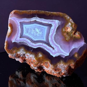 May include: A polished agate slice featuring concentric bands of purple, lavender, and white surrounding a crystalline center. The outer edge displays a rough, textured crust in shades of reddish-brown and orange, contrasting with the smooth, translucent interior.