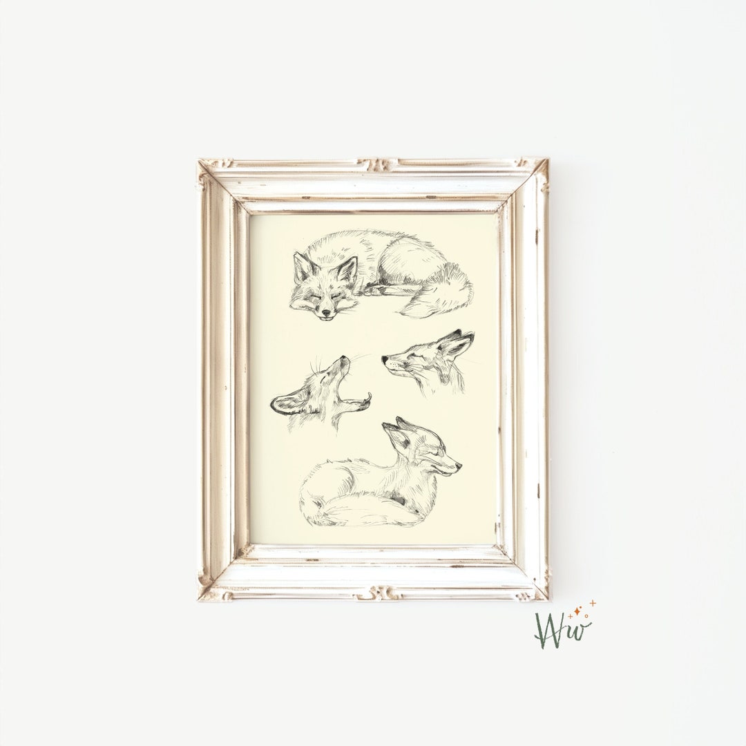 Fox Wall Decor, Vintage Fox Print Art, Printable Fox Sketch Art ...