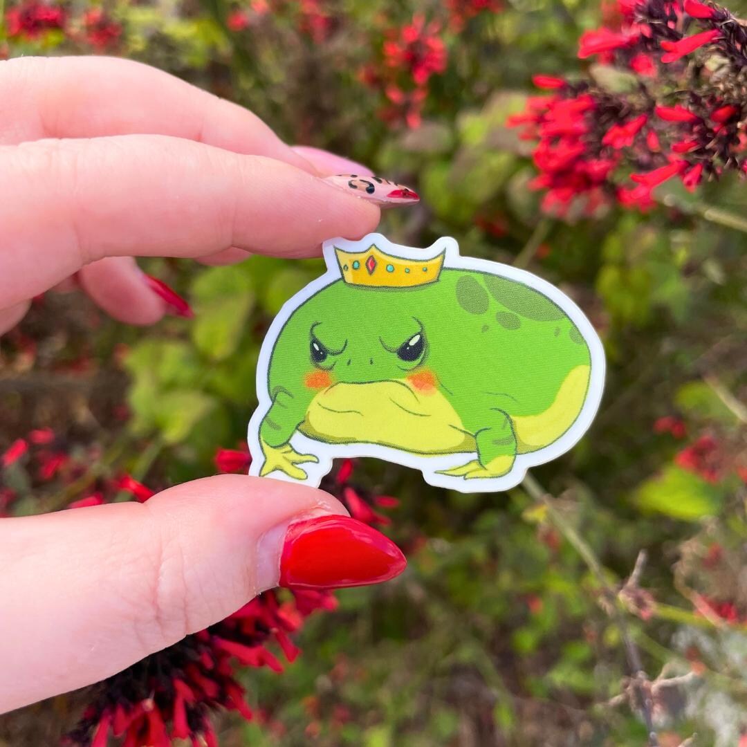 Angry Rain Frog Princess - Etsy
