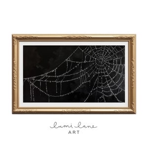 May include: A black and white illustration of a spider's web with dewdrops on it. The web is framed in a gold frame. The text "lumi lane ART" is at the bottom of the image.
