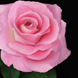 PINK ROSE |  Canvas Print | Wall Art | Flowers Canvas Print | Ready to Hang Canvas Art | Floral Wall Decor | Living Room Wall Hanging