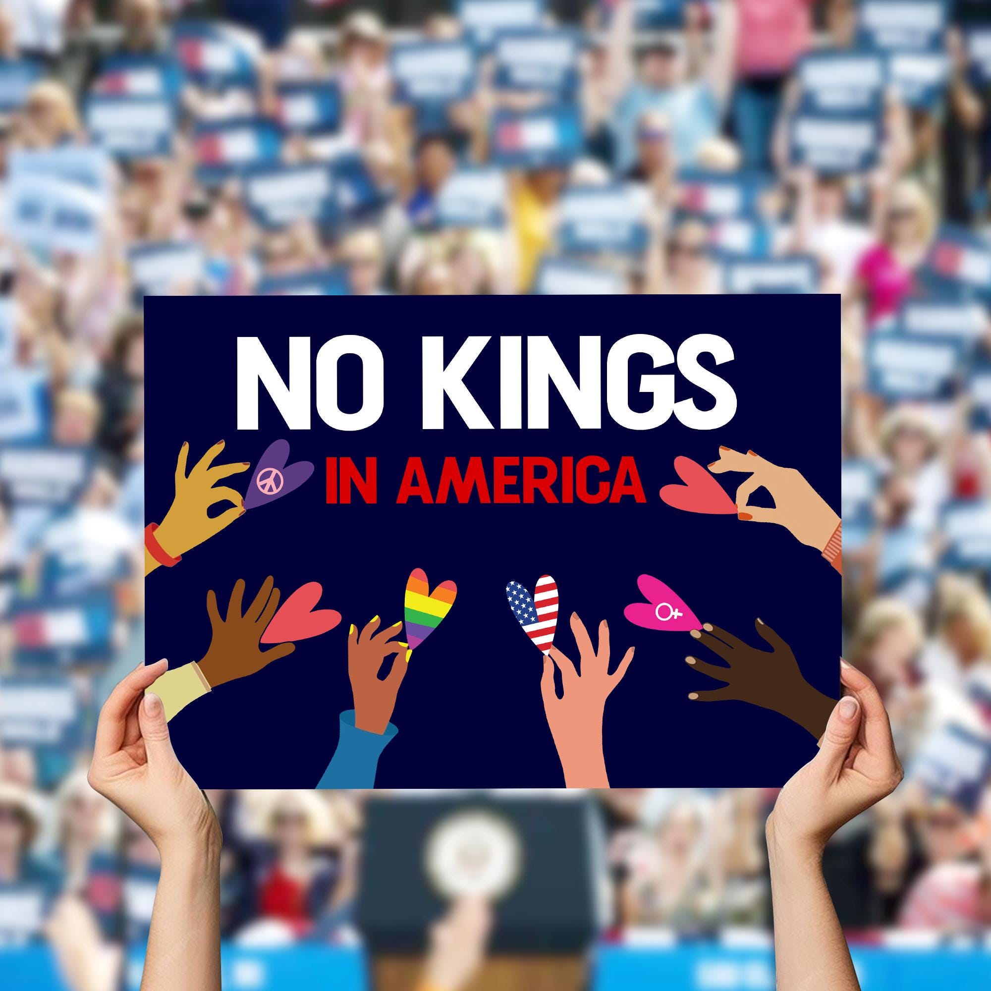 Hofschild 'No Kings In America' 30,5 X 45,7 Cm – Doppelseitig, Wetterfest & Mit Metallpfahl