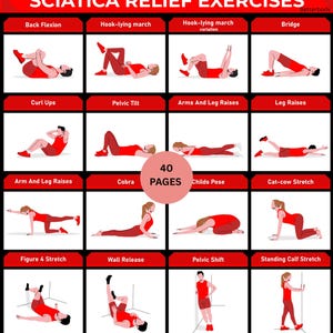 May include: An infographic titled "Sciatica Relief Exercises" in red and white, showing various exercises. Exercises include Back Flexion, Hook-lying march, Bridge, Curl Ups, Pelvic Tilt, and others. The image also includes the text "40 PAGES".