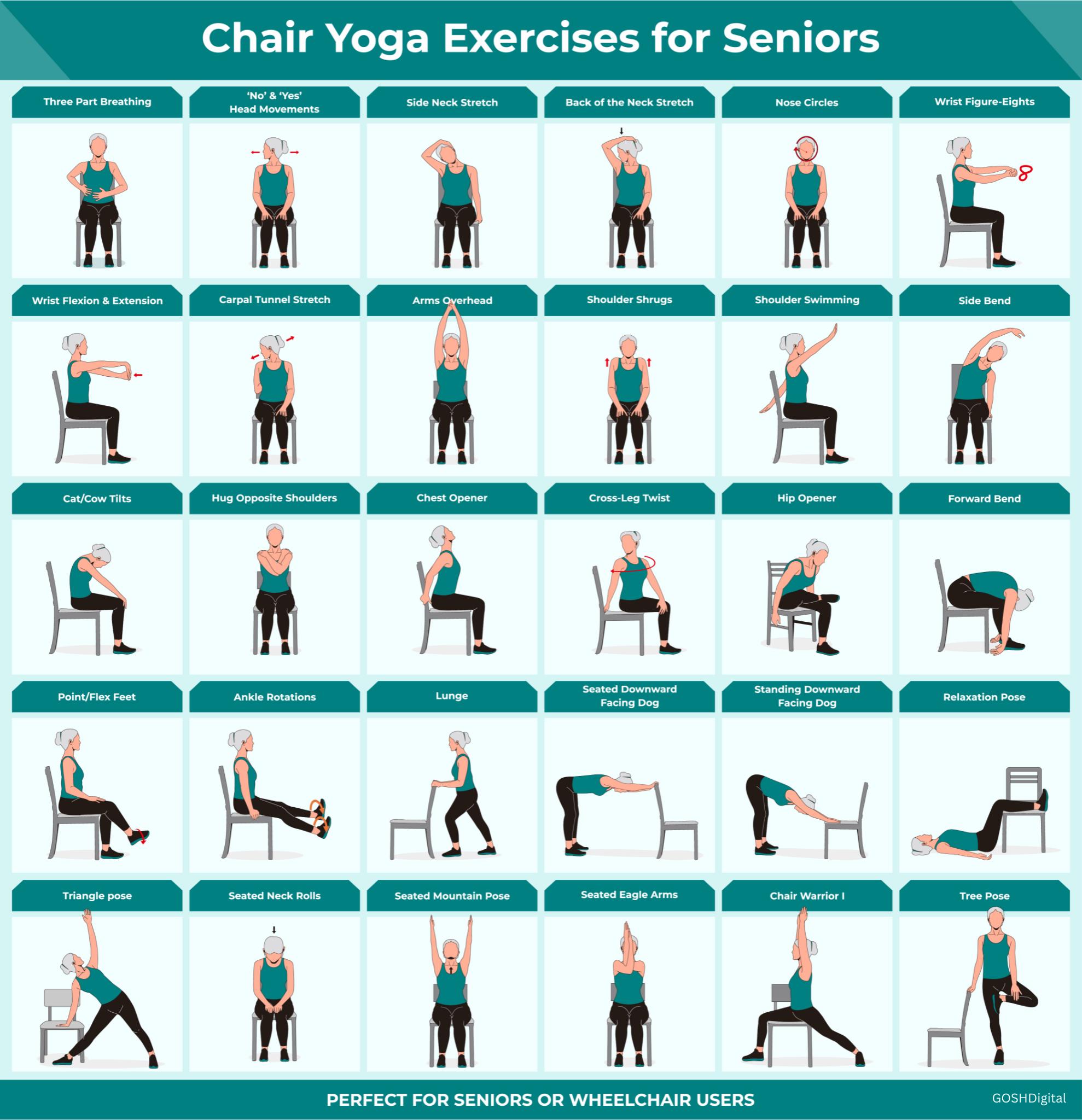 Chair Yoga Chart for Seniors - Etsy chair-yoga-chart-for-seniors-etsy