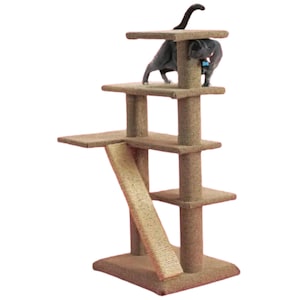 May include: A tall, multi-level cat tree with a sisal-covered scratching post and a ramp. The cat tree has multiple platforms and a brown base.