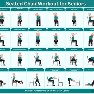 30 Dance Seated Chair Workout for Seniors Wheelchair Users Yoga Exercise Nursing Home Balance Stability 30Day Challenge Physical Therapy PDF
