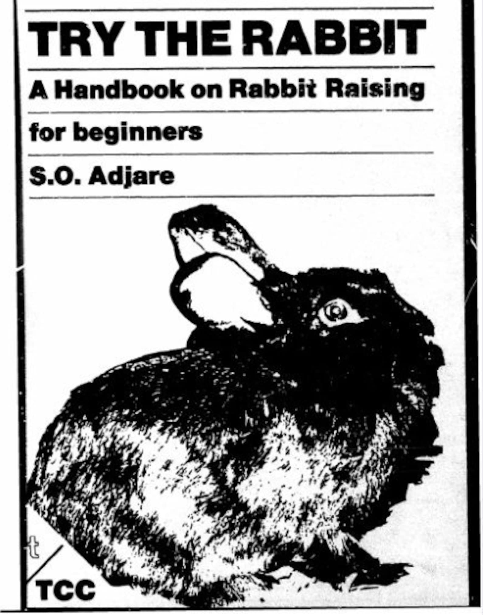 DIY Rabbit Hutch Plans Plus Raising Meat Rabbits for Beginners in Your ...