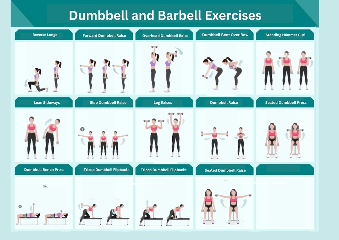 Barbell Exercise .pdf Full Body Dumbbell Barbell Exercises Cards Upper Body Weight Gym ...