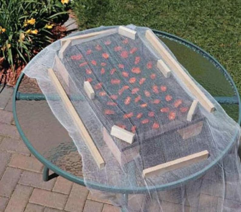 4 DIY Portable Solar Fruit Dryer Dehydrator And Cooker Woodworking 