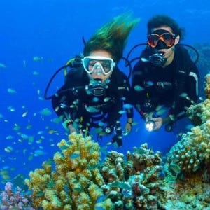 Recreational Diver Planner PADI handout with Practise Mock Exam Test Q&As Scuba Diving OWD Printable Instant Download