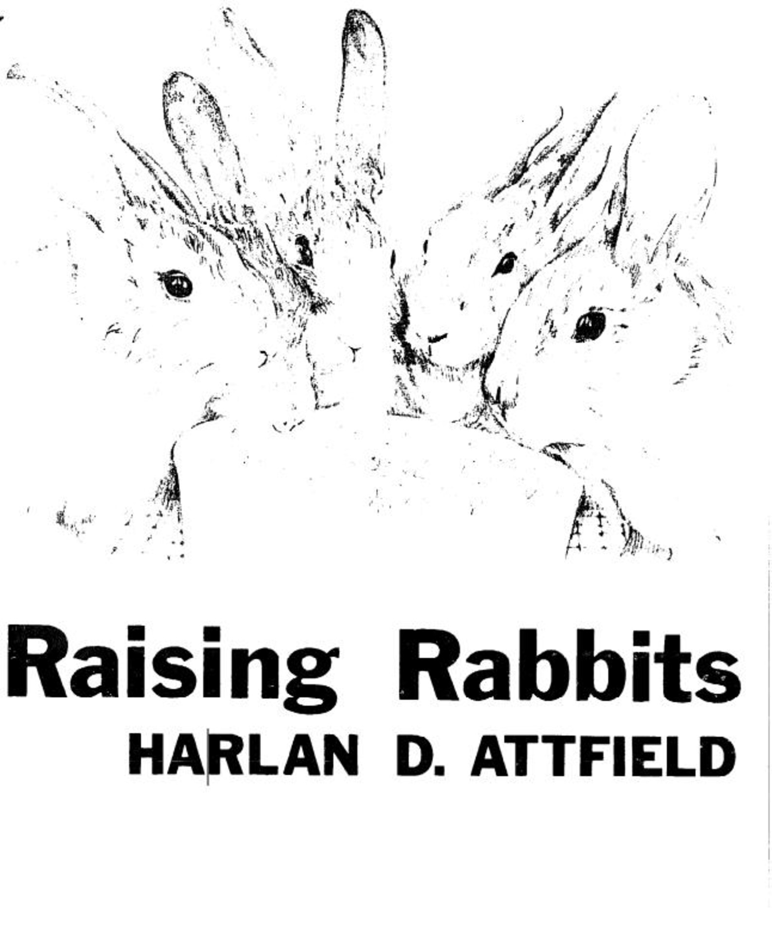 DIY Rabbit Hutch Plans Plus Raising Meat Rabbits for Beginners in Your ...