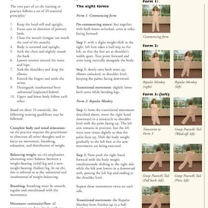 Puede incluir: Una p&aacute;gina de un libro que detalla los principios y la pr&aacute;ctica del Ezy Tai Chi. El texto describe la parte central del entrenamiento de tai chi, incluyendo 10 principios esenciales y ocho formas con ilustraciones de movimientos.