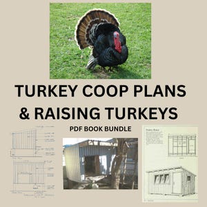 Puede incluir: Un paquete de libros PDF con planos para construir un gallinero de pavos y criar pavos. La portada presenta un pavo negro y blanco con la cabeza y la papada rojas. El paquete de libros incluye planos detallados e instrucciones para construir un gallinero y criar pavos.