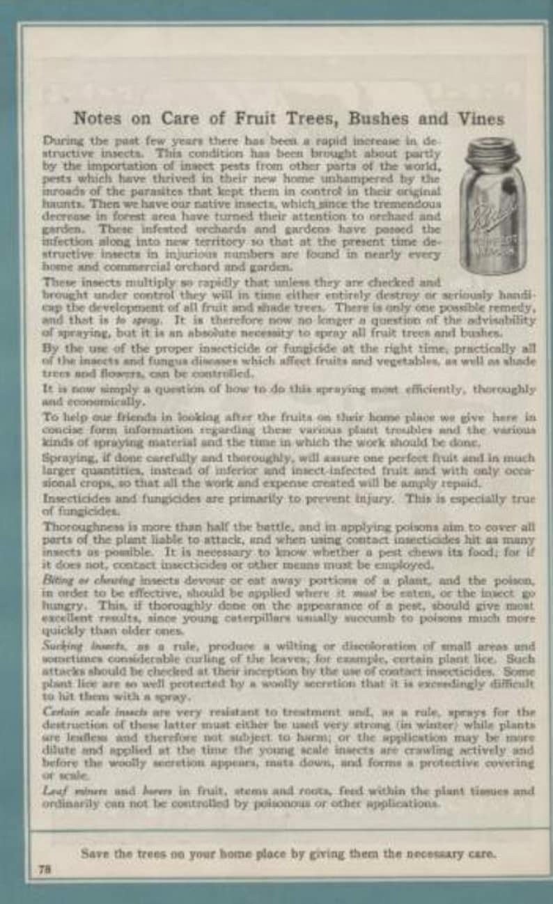 Ball Blue Book of Canning and Preserving Recipes Handbook PDF Vintage ...