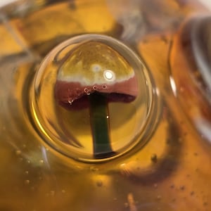 May include: Close-up of a glass art piece featuring a mushroom design. The mushroom has a red and white cap with a green stem, encased in a clear, amber-colored glass. The glass has small bubbles.