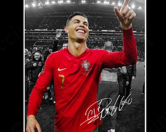 ファビオ・カンナヴァーロ直筆サイン入りイタリアサッカー写真。額入り