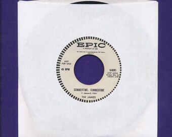 the JAMIES 45 rpm Record- Summertime Summertime- 1958 ORIG.