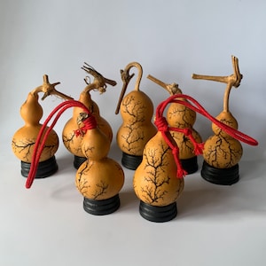 Könnte beinhalten: Sechs dekorative Kürbisse mit komplizierten schwarzen Mustern, jeder mit einer roten Schnur und einer schwarzen Basis. Die Kürbisse sind in einem Halbkreis auf weißem Hintergrund angeordnet.