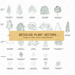 May include: A chart with illustrations of various trees and shrubs, labeled with their common names and heights. The chart is organized from largest to smallest, with the largest trees at the top and the smallest shrubs at the bottom.