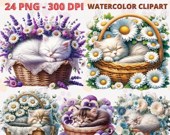 Watercolor Kitten Sleep in a Basket PNG, Cute Cat with Flower Clipart, Floral Kittens Clip Art, Little Cats Wall Art, Spring Bundle