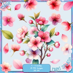 Sakura Blütenblätter und Blumen Clipart-Set, transparenter Hintergrund PNG-Bilder, kommerzielle Nutzung, Blumenbild, große hohe Landschaft, Clipart-Bundles