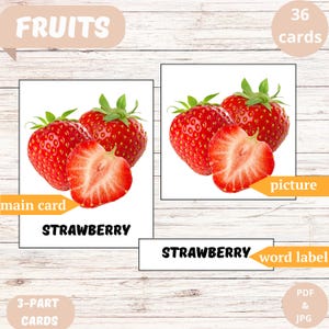 Flashcards 
